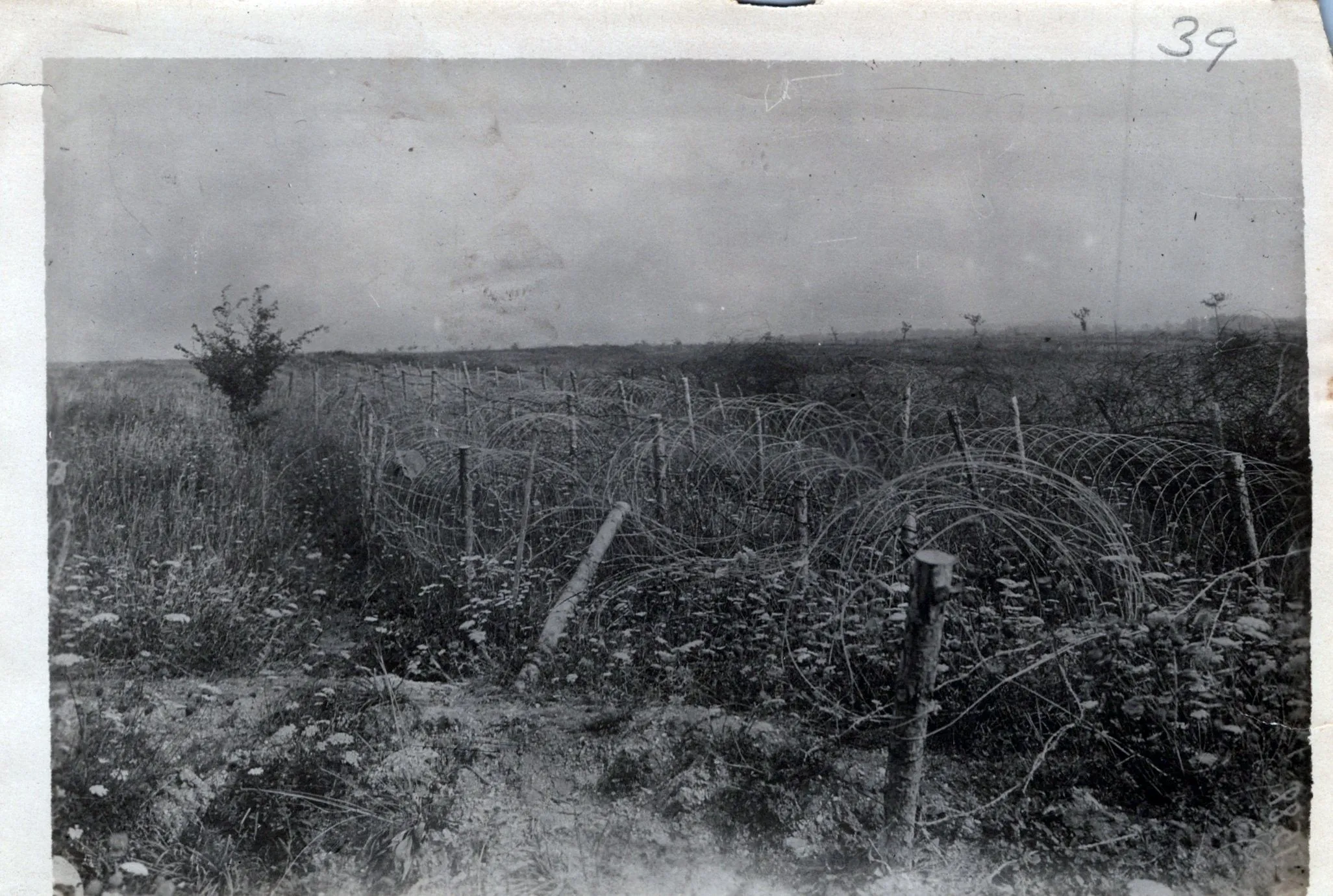 Original U.S. WWI Western Front Trench Warfare Photograph Collection (66 total) with Indexed List