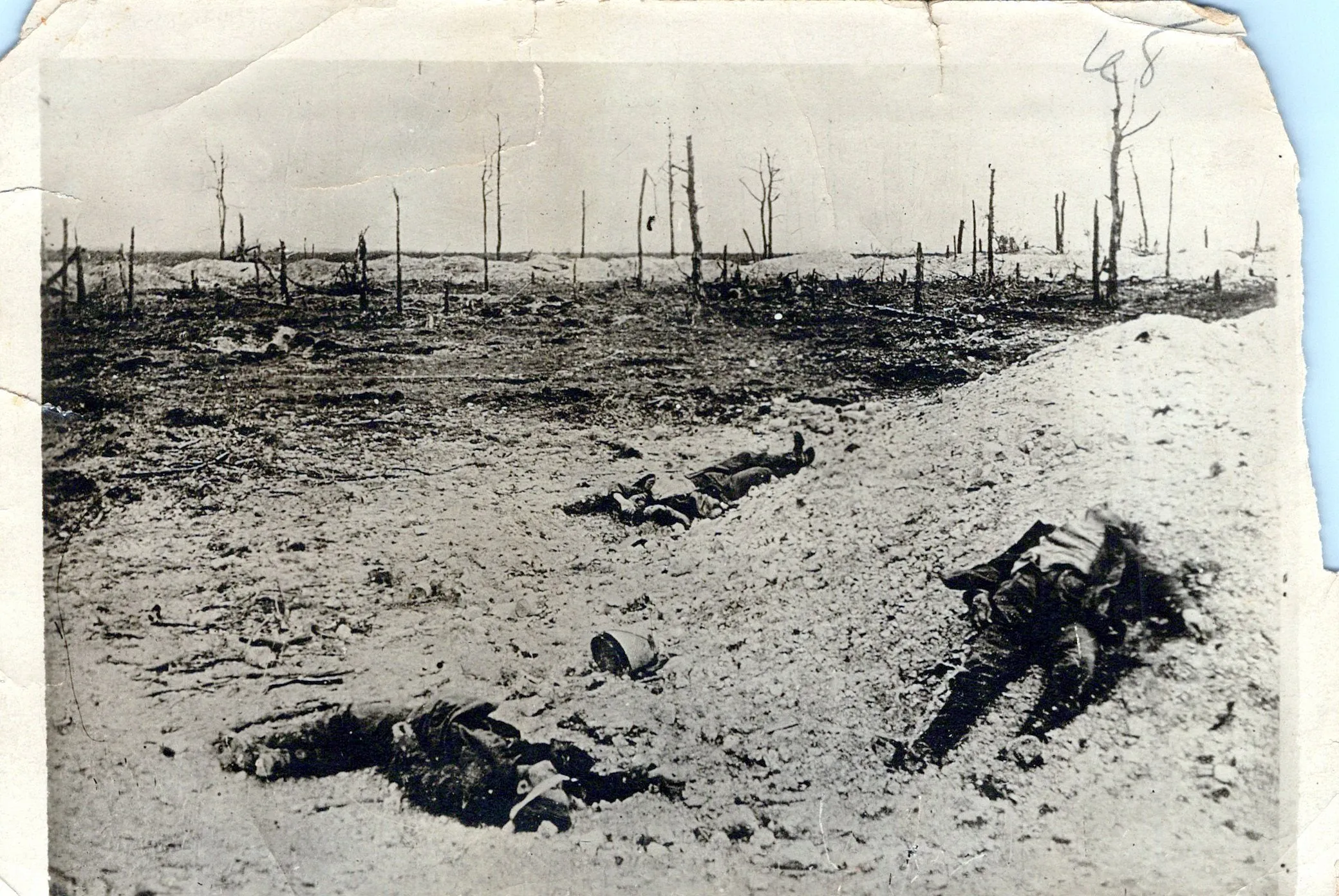 Original U.S. WWI Western Front Trench Warfare Photograph Collection (66 total) with Indexed List