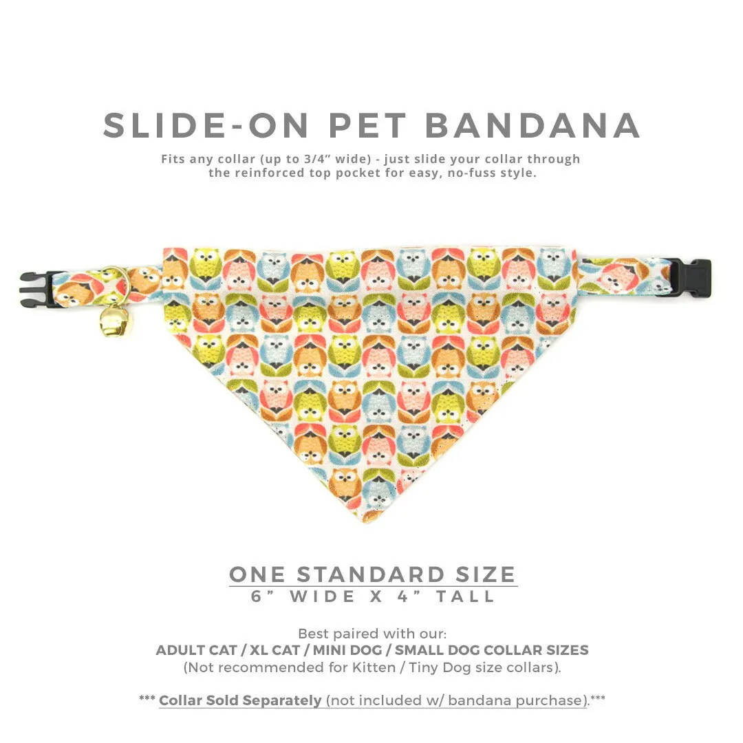 Pet Bandana - "Feathered Friends" - Owl Bandana for Cat   Small Dog / Slide-on Bandana / Over-the-Collar (One Size)