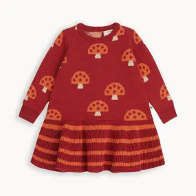 Sage - Rusty Mushroom Knit Dress